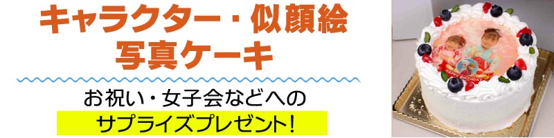 �ʐ^�P�[�L���T�C�g